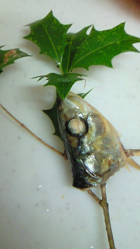 ファイル 230-2.jpg