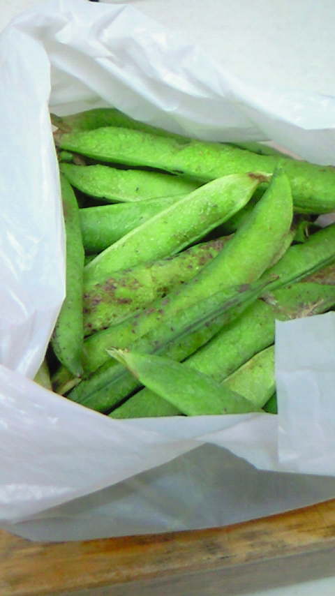 ファイル 267-1.jpg
