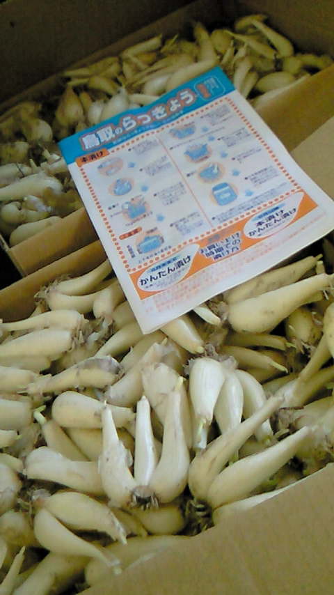 ファイル 271-1.jpg