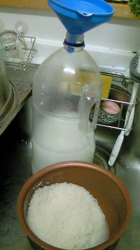 ファイル 289-1.jpg