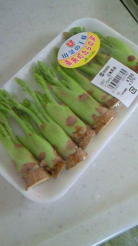 ファイル 395-1.jpg